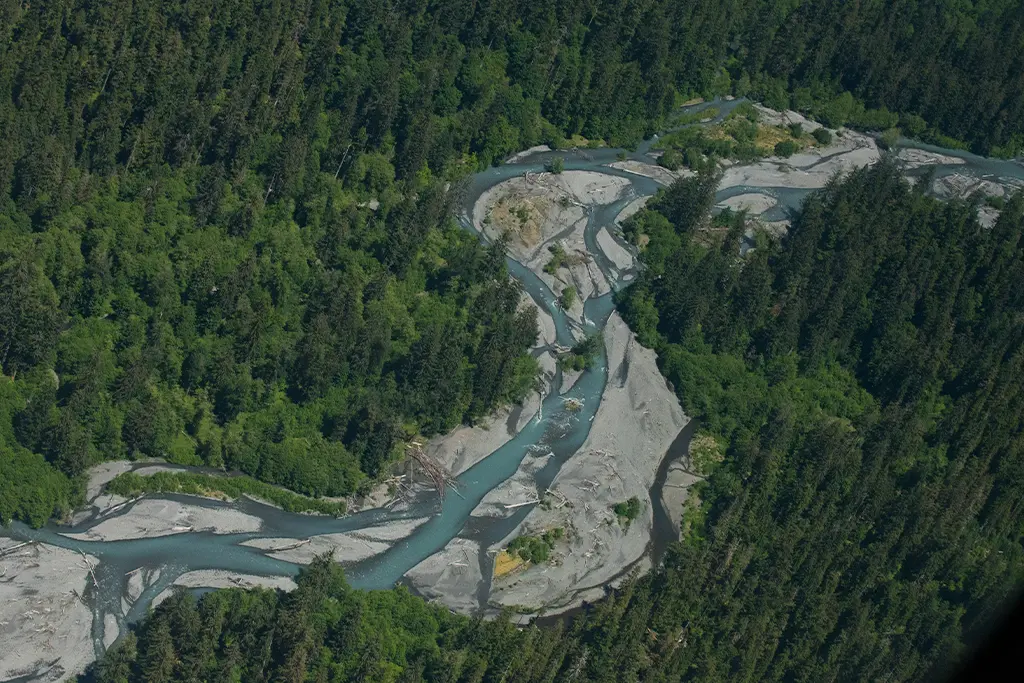 An aerial view of a winding river carving a path through a forest.