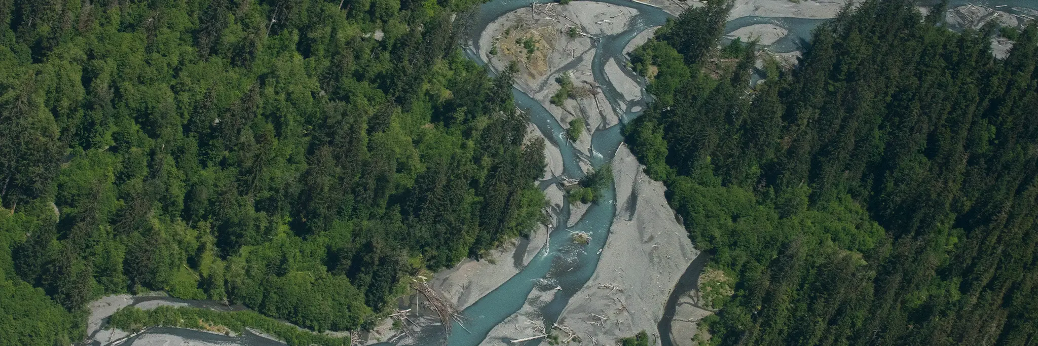 An aerial view of a winding river carving a path through a forest.